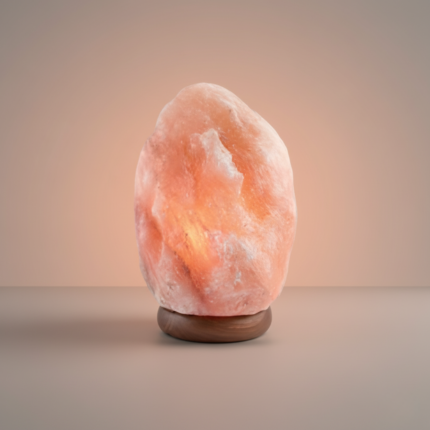 Natural Shaped Himalayan Salt Lamp
