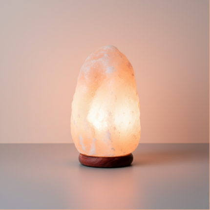 White Natural Shaped Salt Lamp